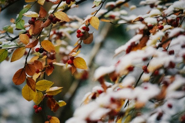 Народні прикмети 30 січня / © unsplash.com