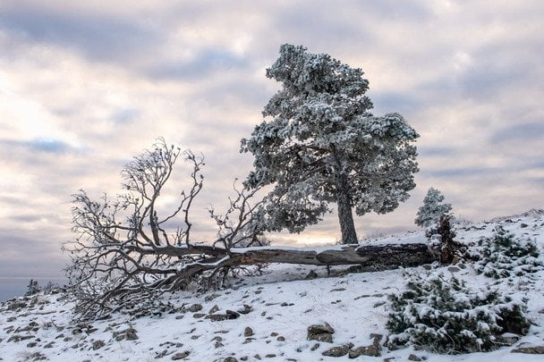 Народні прикмети 2 лютого / © pexels.com