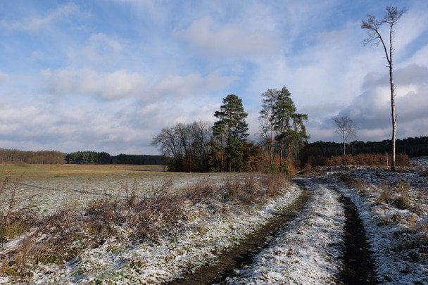 Народні прикмети 13 лютого / © pexels.com