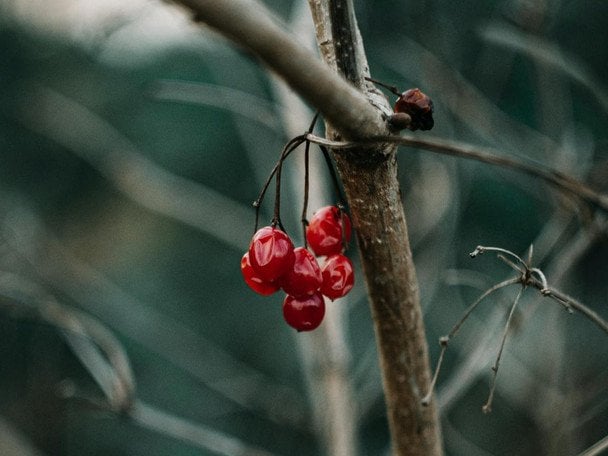 Народні прикмети 3 лютого / © pexels.com
