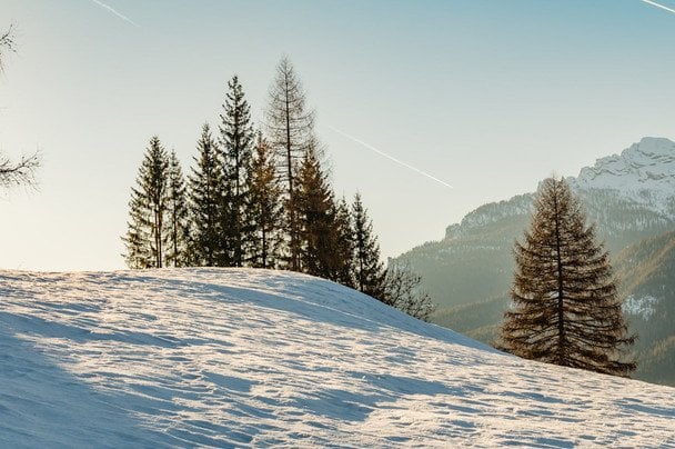 Народні прикмети 17 лютого / © pexels.com