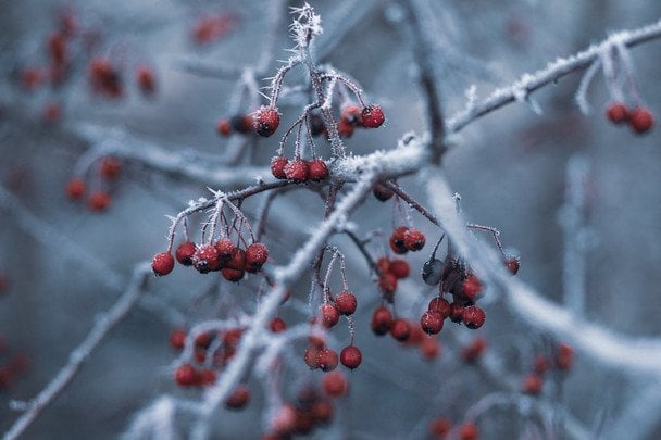 Народні прикмети 9 лютого / © pexels.com