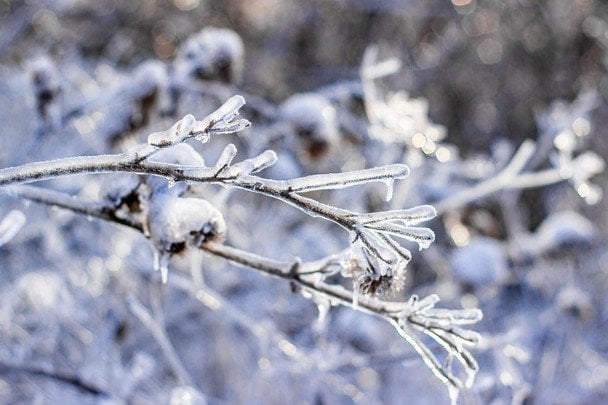 Народні прикмети 4 лютого / © pexels.com