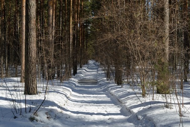 Народні прикмети 10 лютого / © pexels.com