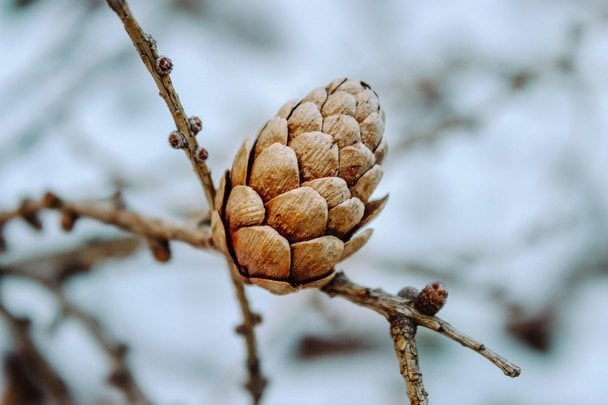 Народні прикмети 16 лютого / © Pixabay