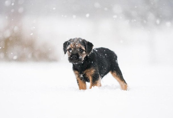 Народні прикмети 19 лютого / © pexels.com