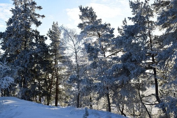 Народні прикмети 12 лютого / © pexels.com