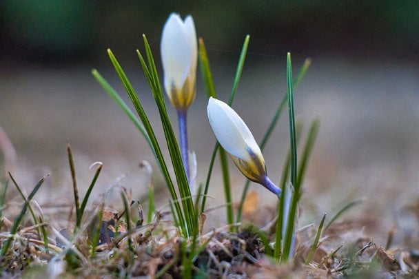 Народні прикмети 2 березня / © pexels.com