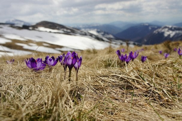 Народні прикмети 11 березня / © unsplash.com