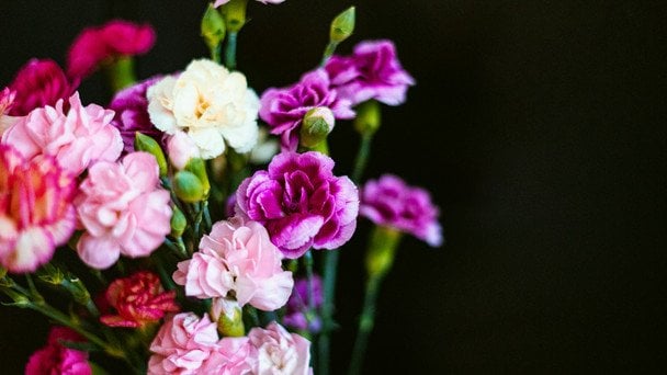 День ангела 10 березня — душевні привітання в прозі / © unsplash.com