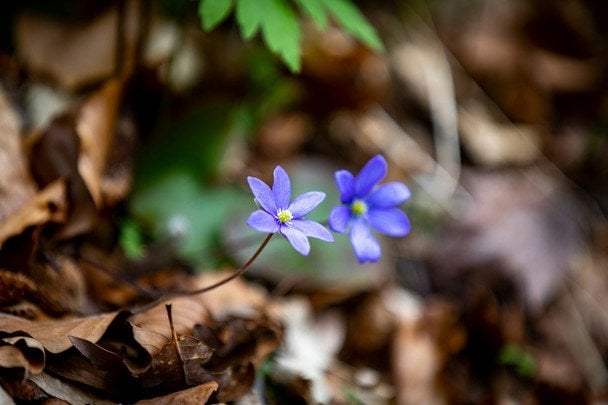 Народні прикмети 17 березня / © unsplash.com