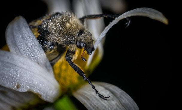 Народні прикмети 22 березня / © pexels.com