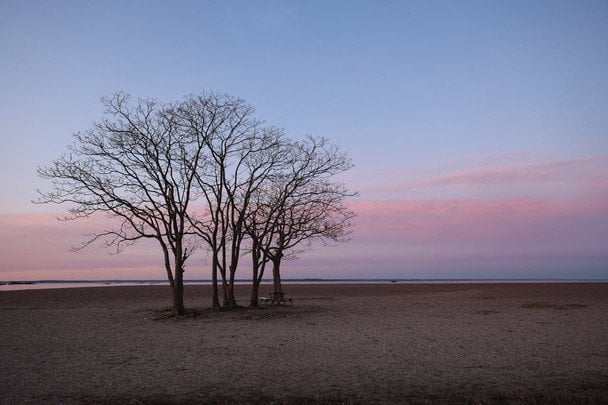 Народні прикмети 30 березня / © pexels.com