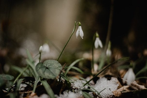 Народні прикмети 4 березня / © pexels.com