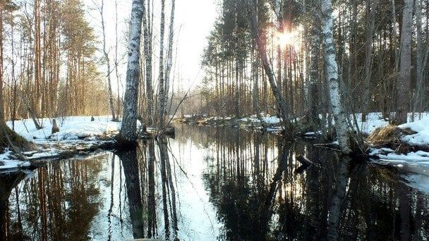 Народні прикмети 14 березня / © unsplash.com