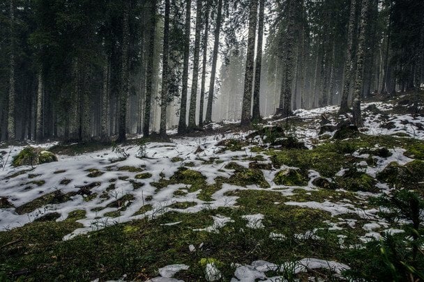 Народні прикмети 12 березня / © unsplash.com