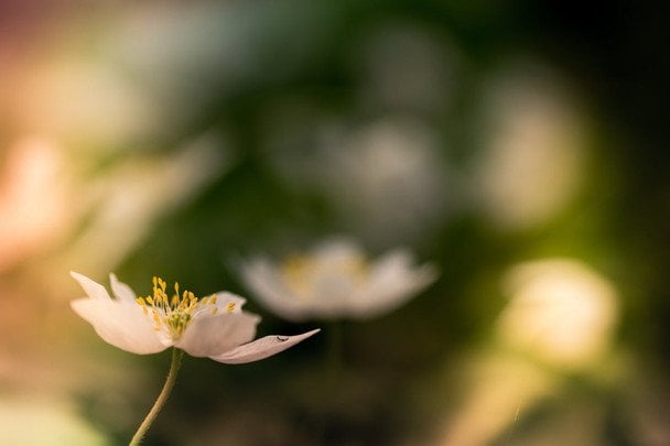 Народні прикмети 15 березня / © pexels.com