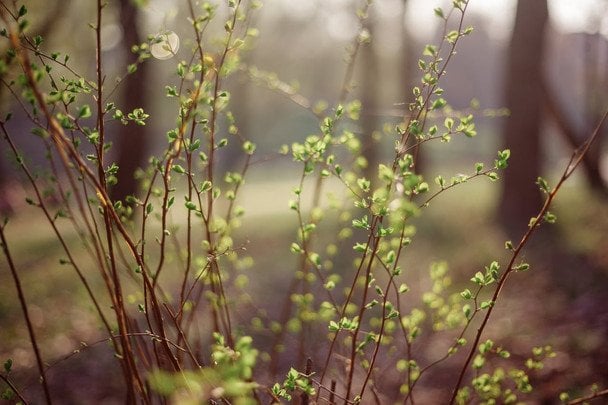 Народні прикмети 13 березня / © pexels.com