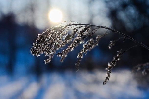 Народні прикмети 3 березня / © pexels.com