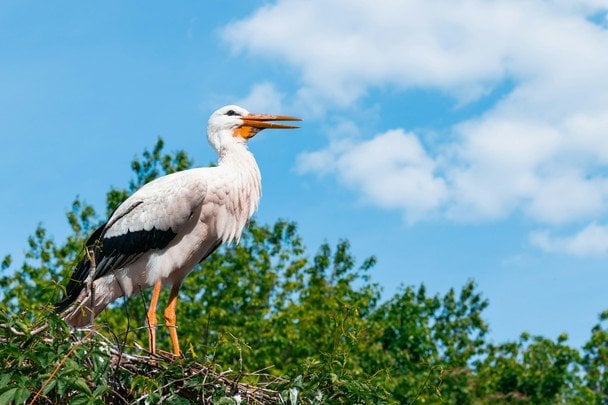 Народні прикмети 3 квітня / © unsplash.com