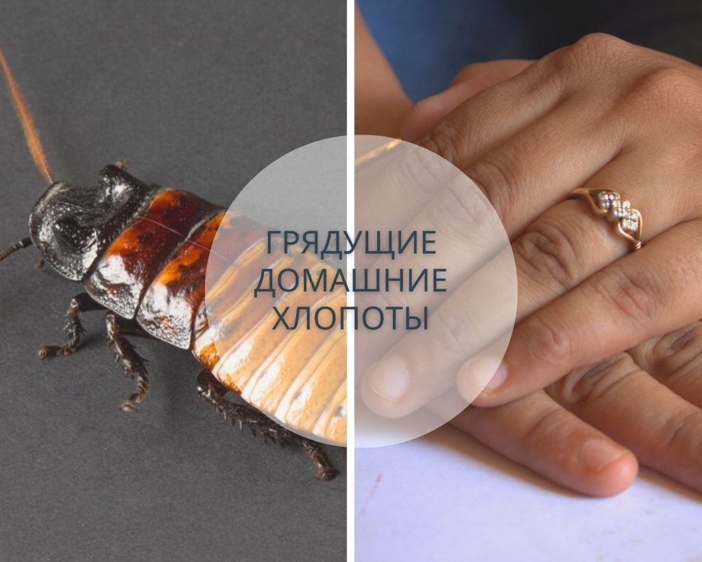 К Чему Снится Кал Женщине: Толкование и Значение Сна