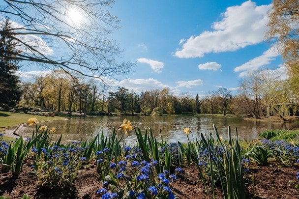 Народні прикмети 12 квітня / © pexels.com