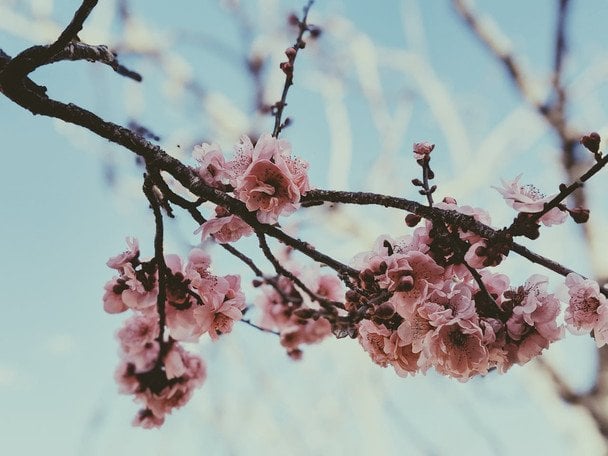 Народні прикмети 21 квітня / © pexels.com