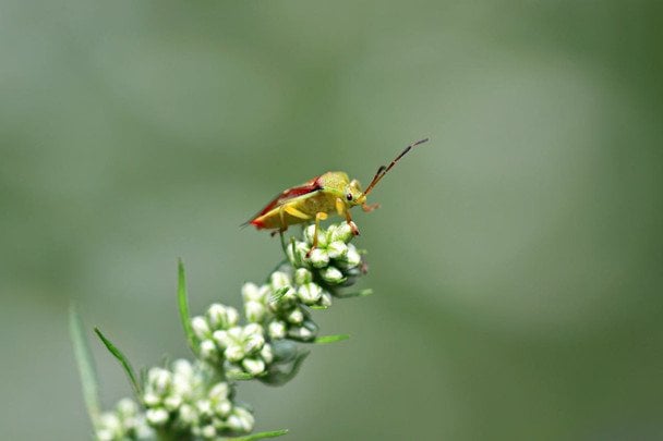 Народні прикмети 14 квітня / © pexels.com