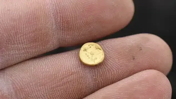 Дослідники виявили в Богемії одне з найбільших кельтських поселень із золотими скарбами та доказами давніх торговельних шляхів