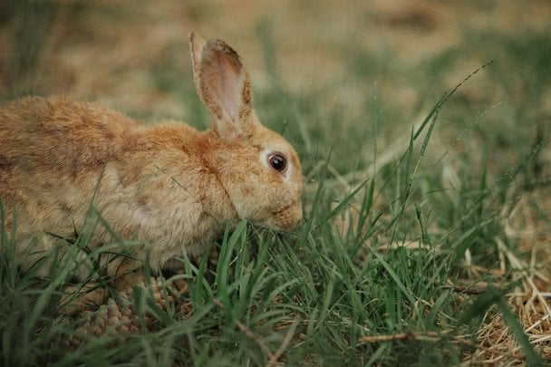 Народні прикмети 29 квітня / © unsplash.com