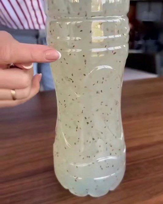 Клейстер з насінням моркви