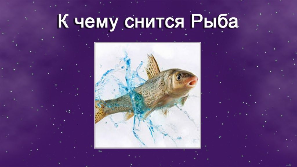 К Чему Снится Рыба: значение сна и его толкования