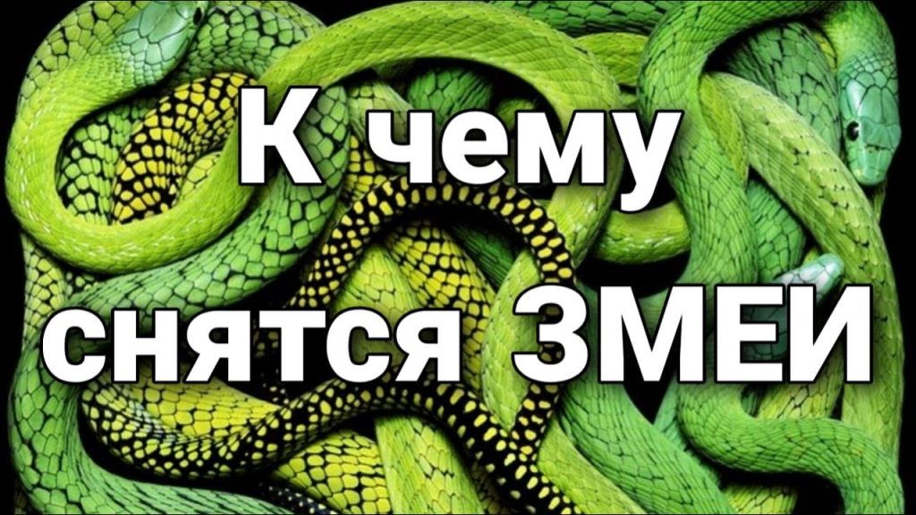 К Чему Снится Змея: Толкования Сновидений и Символизм