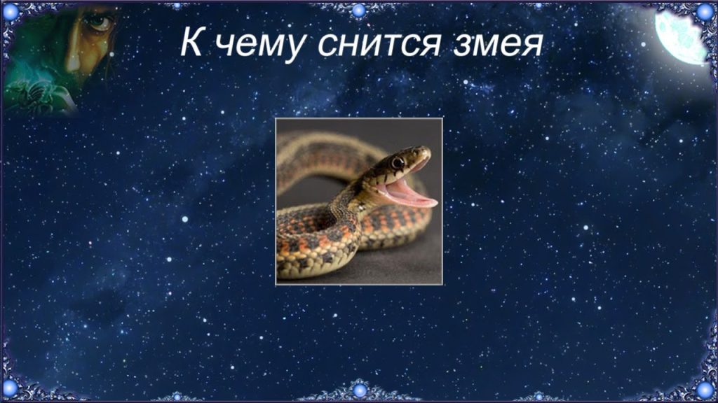 К Чему Снится Змея: Толкования Сновидений и Символизм