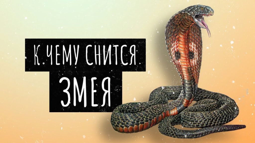 К Чему Снится Змея: Толкования Сновидений и Символизм