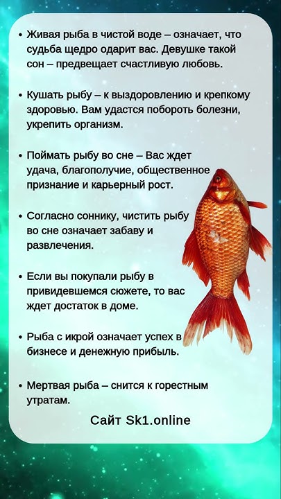 К Чему Снится Рыба: значение сна и его толкования