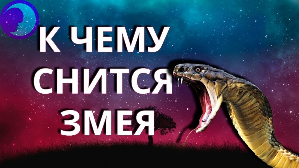 К Чему Снится Змея: Толкования Сновидений и Символизм