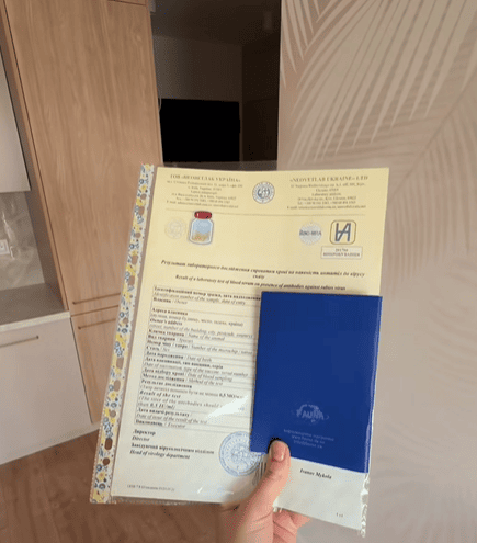 Документи, які необхдні при перевезенні кота через кордон / © із соцмереж