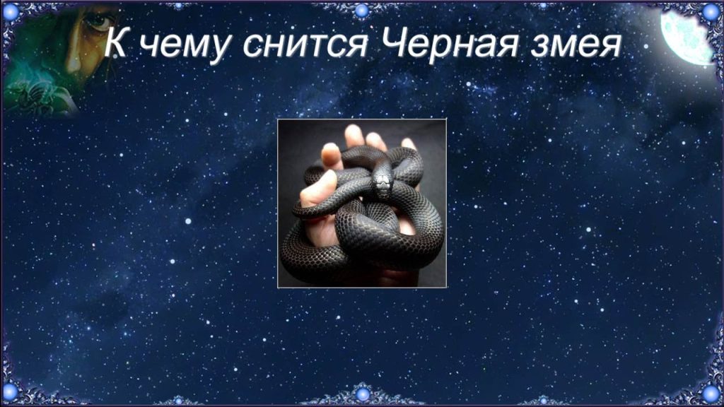 К Чему Снится Змея: Толкования Сновидений и Символизм