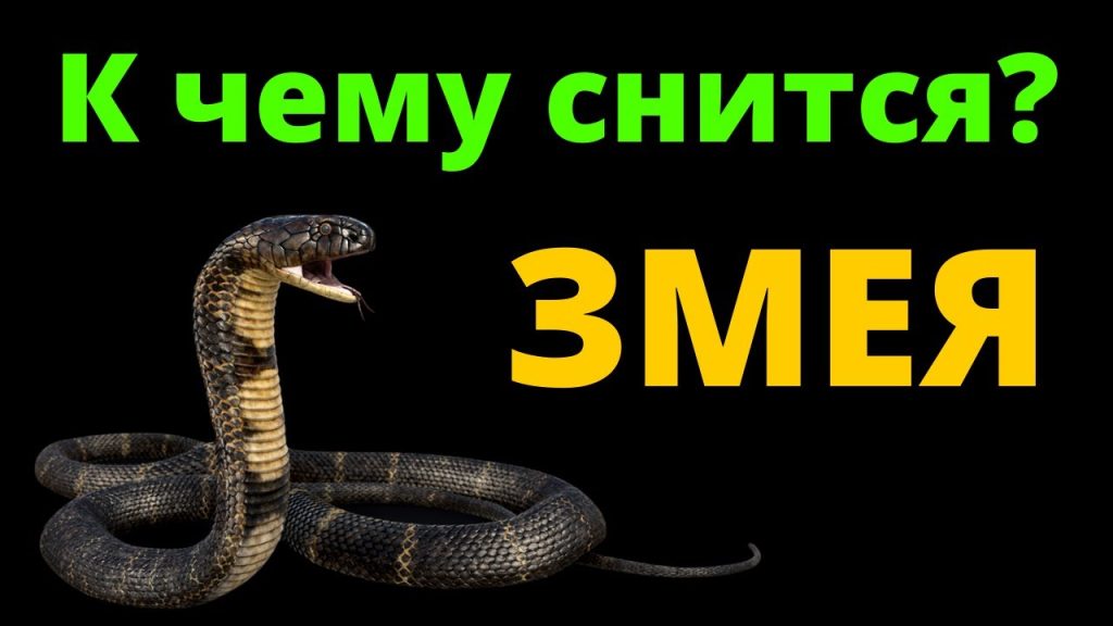 К Чему Снится Змея: Толкования Сновидений и Символизм