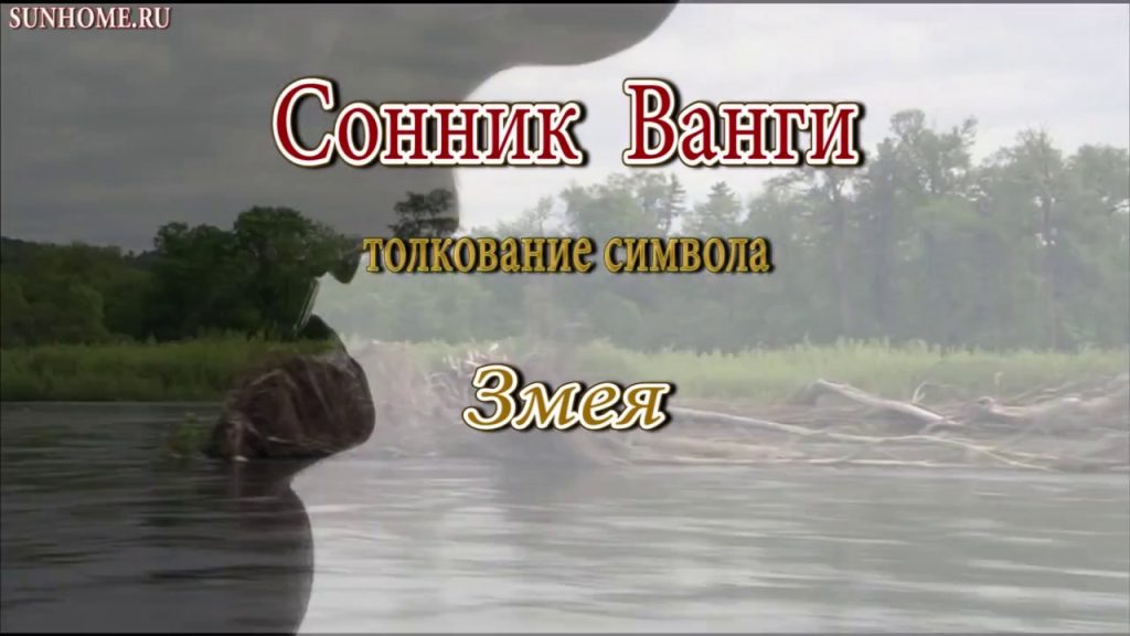 К Чему Снится Змея: Толкования Сновидений и Символизм