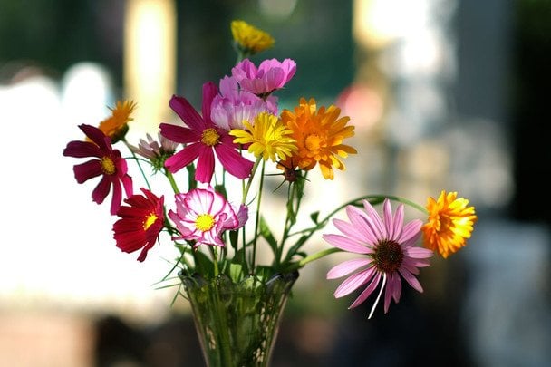 День ангела 10 червня — душевні привітання в прозі / © pexels.com