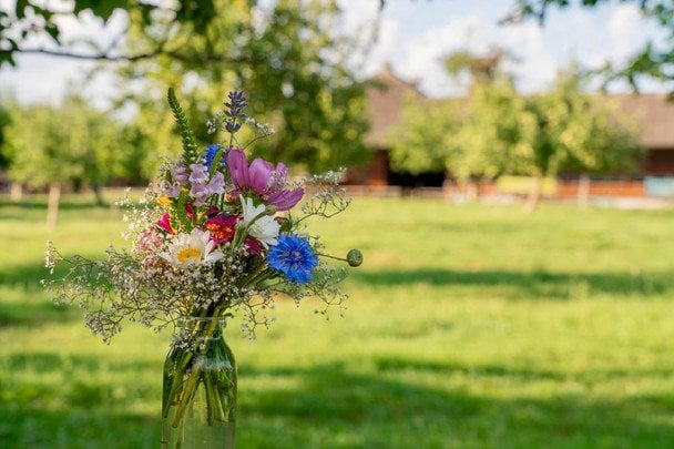 День ангела 26 липня — душевні привітання в прозі / © pexels.com
