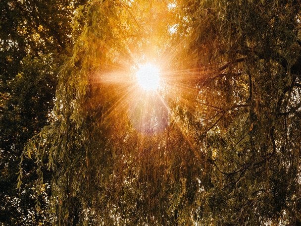 Народні прикмети 27 липня / © pexels.com